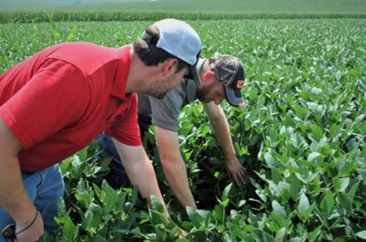 Two Men Looking at Field