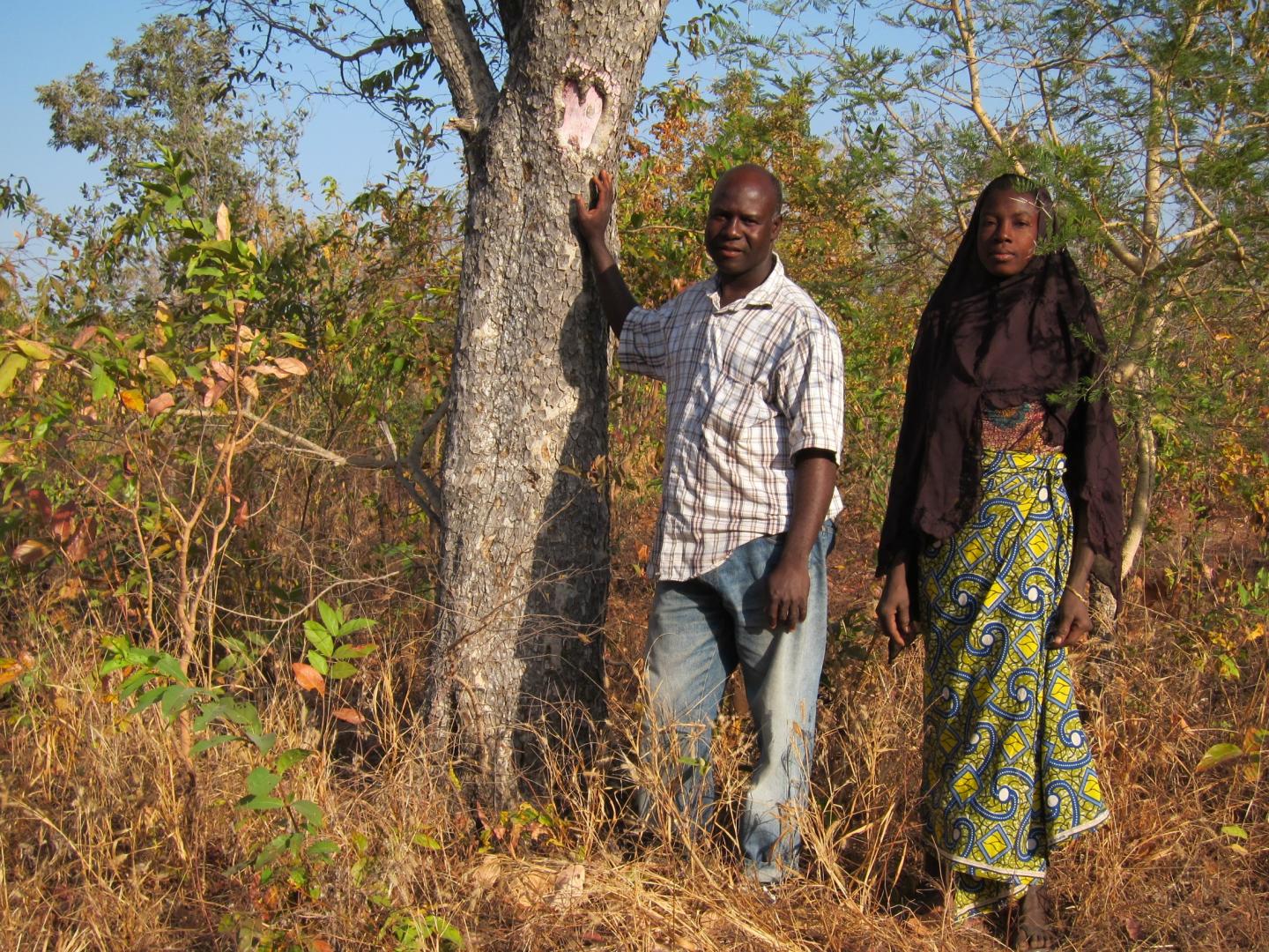 Trees on Farms in Africa Supplement Income for Rural Famers