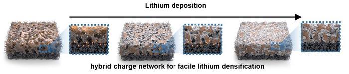 Schematic representation of the internal geometry of the hybrid structure after lithium electrodeposition