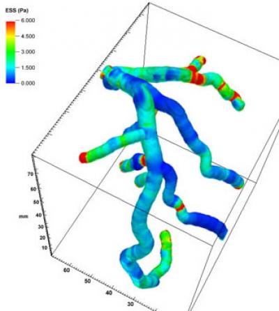 Old-Style, Traditional 3-D Rainbow Model