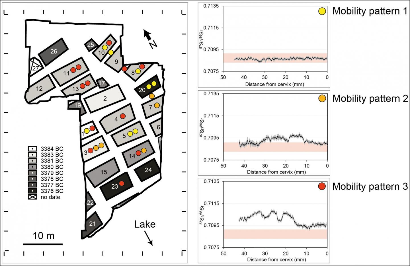 Isotopes in Prehistoric Cattle Teeth Suggest a Variety of Herding Strategies Were used During the Ne
