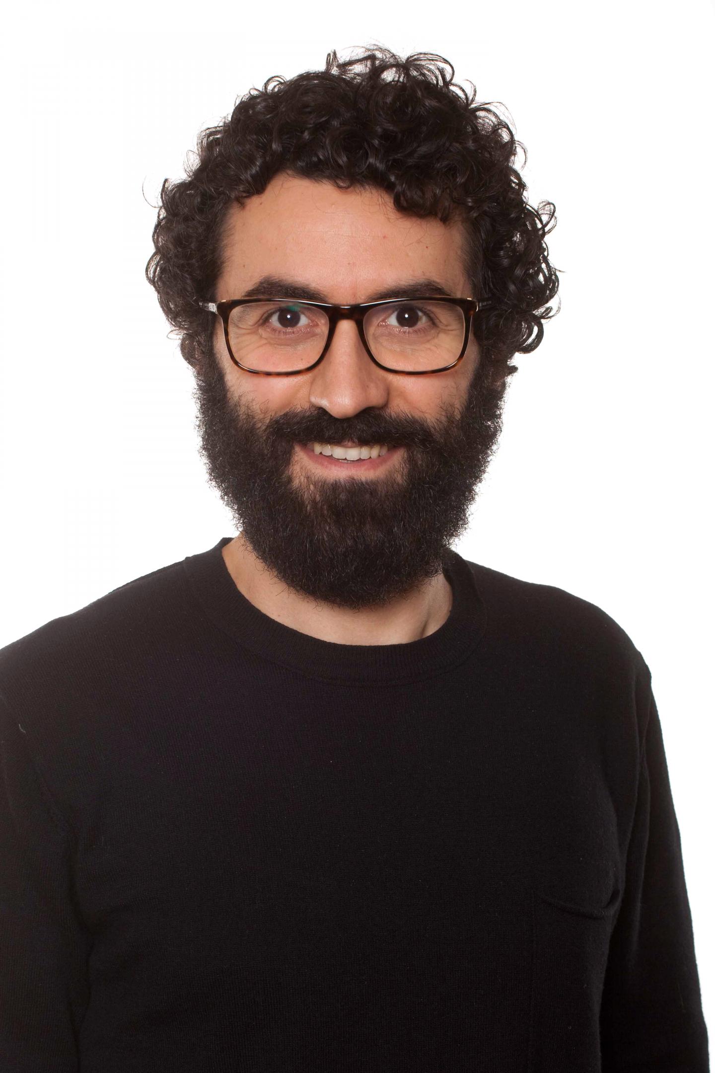 Amir Lotfi Moghaddam, University of Gothenburg