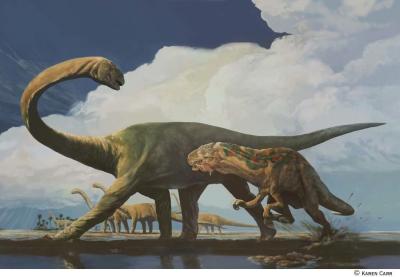 Glen Rose Confrontation