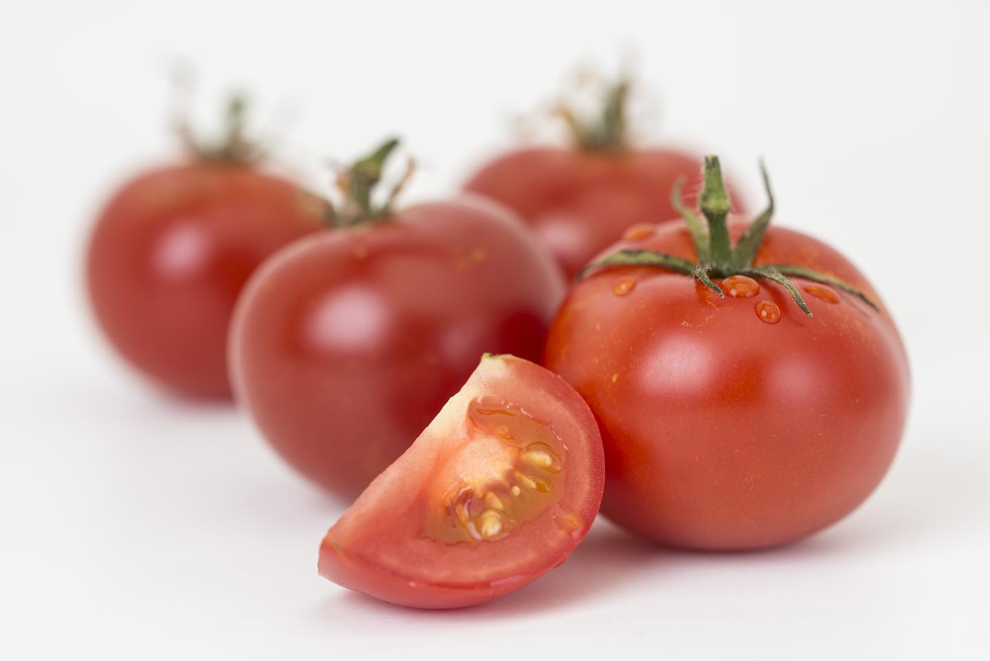 Tomato