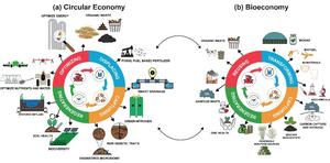 Multiple Paths to a Circular Bioeconomy