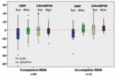 Renal Denervation with Accessories Arteries (2 of 2)
