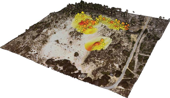 Model visualisation of spatio-temporal dynamics of invader impacts based on the suggested framework.