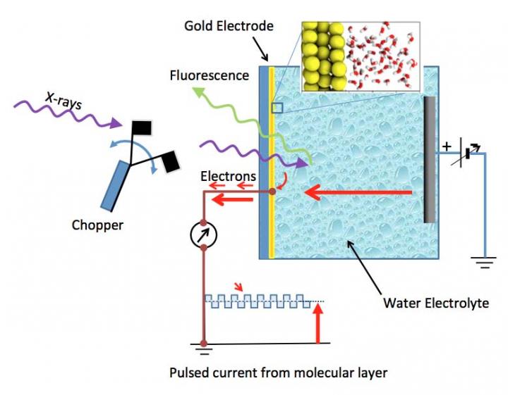 Water on Gold Electrodes