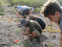 Ground survey students