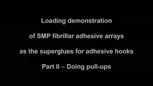 New Paradigm Revolutionizing Smart Fibrillar Adhesive: Surpassing the Limits of Gecko-Inspired Designs  Movie S5