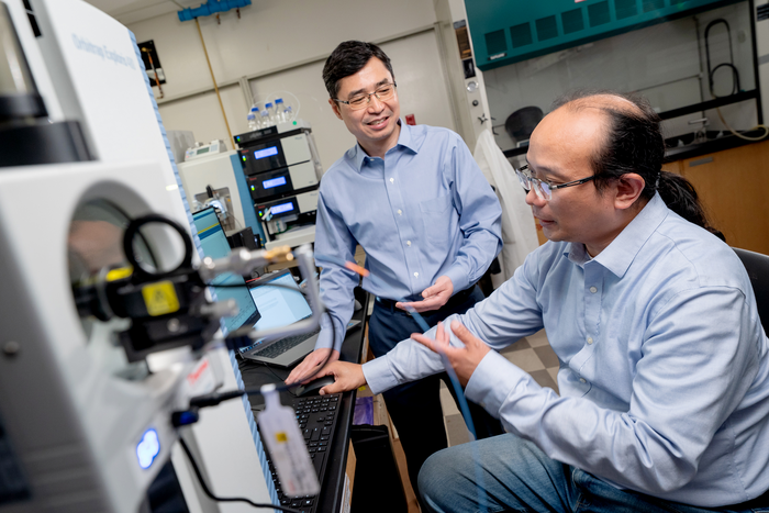 Junmin Peng, Ph.D., and Ping Chung Chen, Ph.D., in the Peng Lab