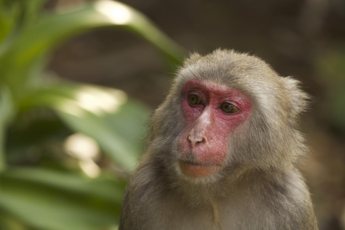 One of the 12 Females Monitored During the Study