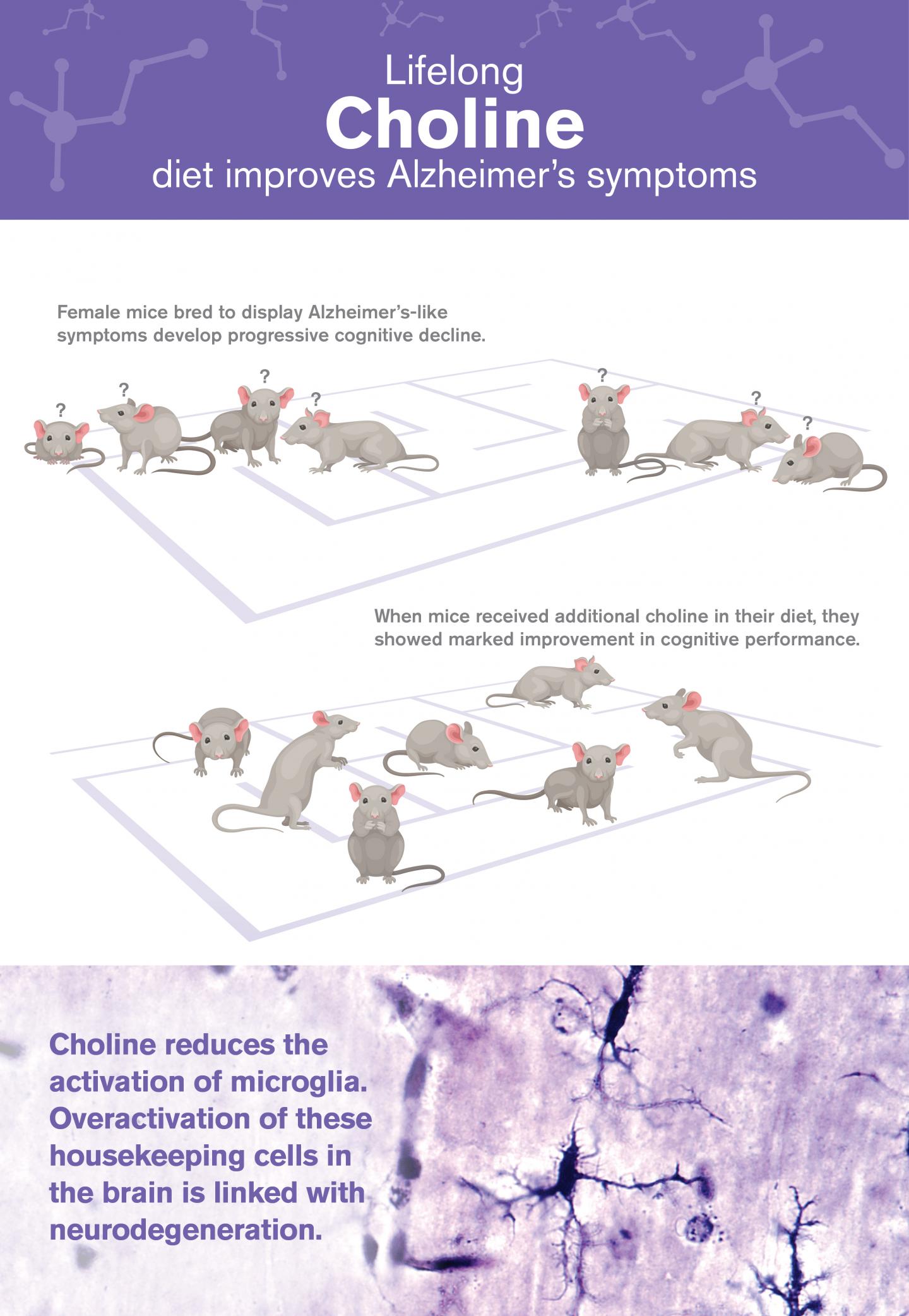 Choline