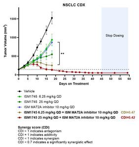 According to the preclinical data, ISM1745 demonstrated robust in vivo efficacy at a low dosage in multiple animal models, with promising potency as monotherapy and broad potential in combination with chemotherapies, targeted agents, and immunotherapies.