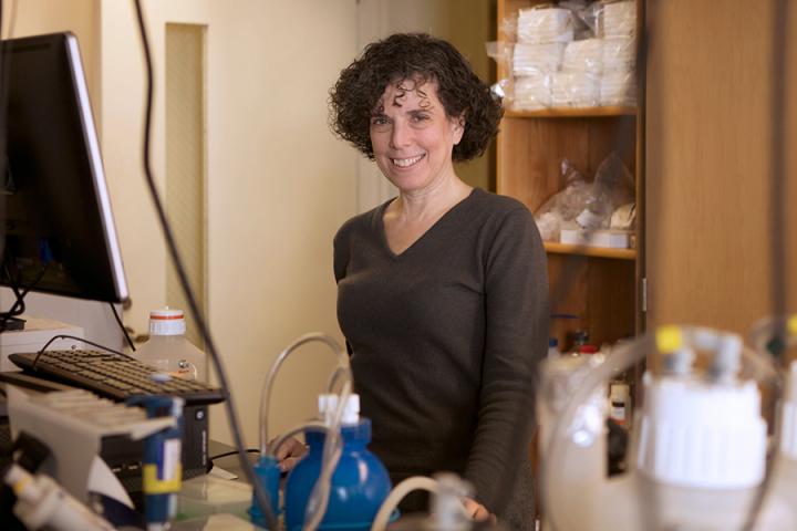 Mady Hornig, Columbia University's Mailman School of Public Health