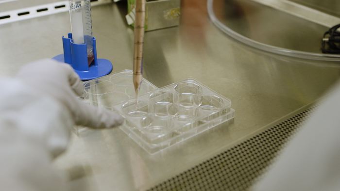 Mission Ax-2 Set to Launch Stem Cells to Space