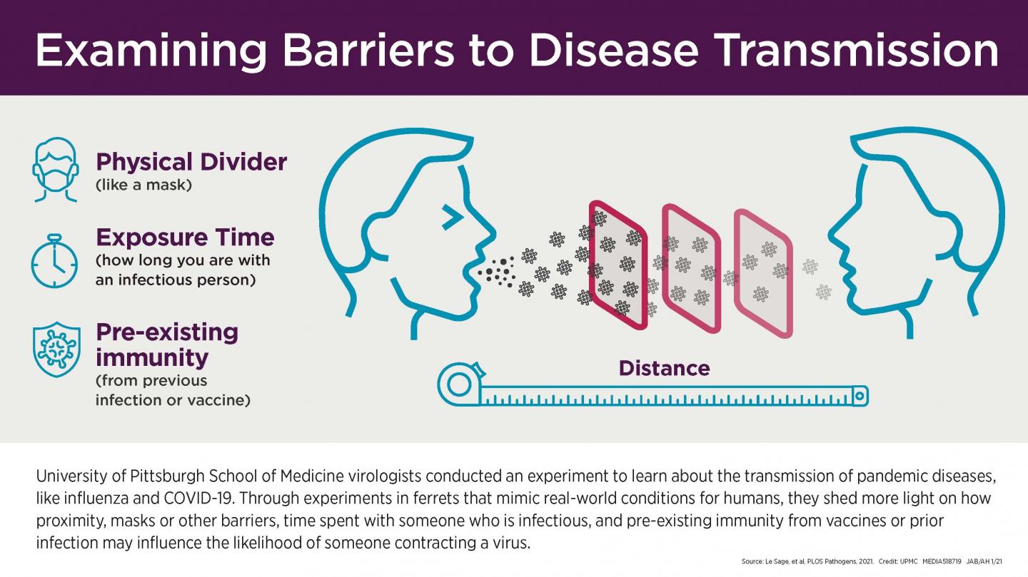 Examining Barriers to Disease Transmission