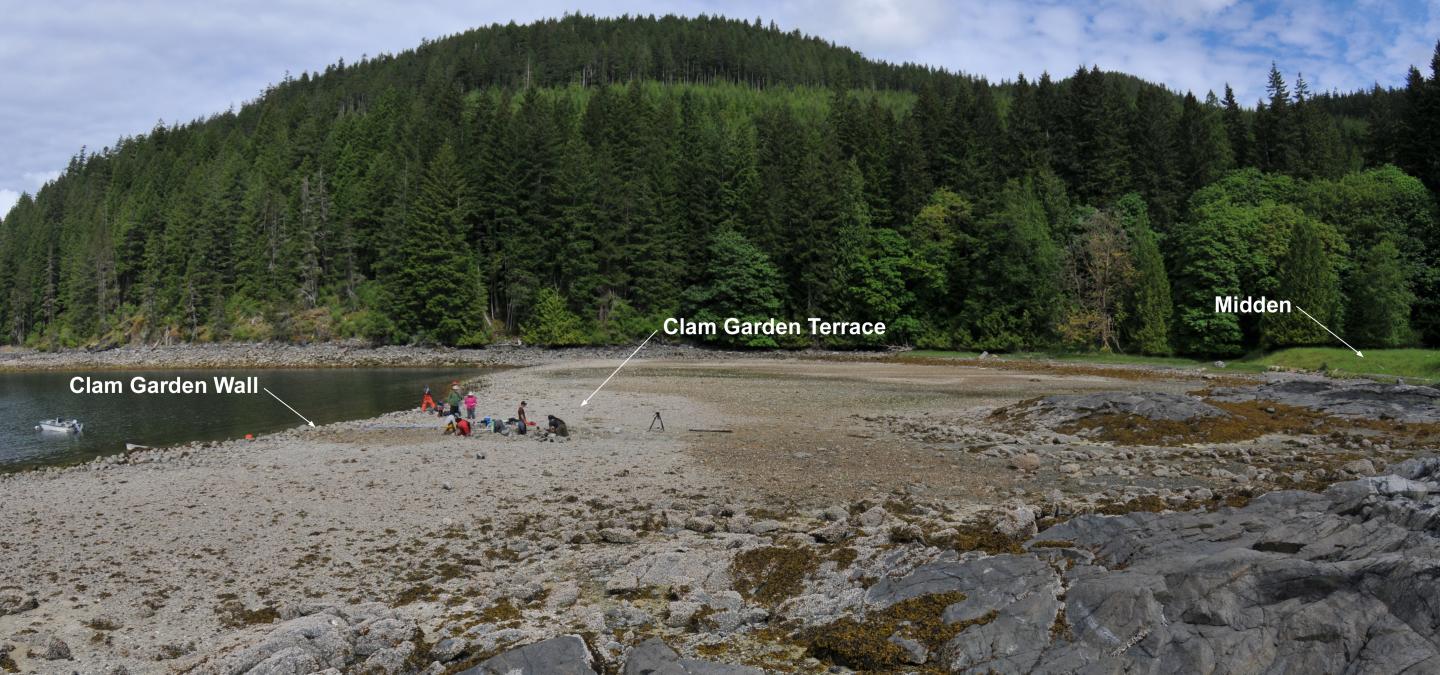 Researchers in British Columbia, Canada Excavate Ancient Shells from the Beach