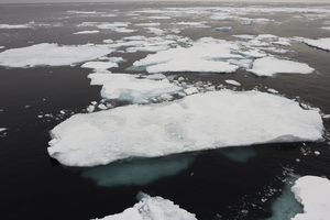 Arctic sea ice