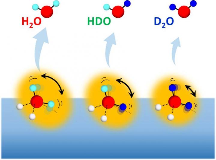 hydrogen bonds ice