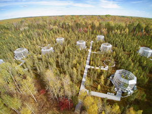 SPRUCE experiment measures potential futures