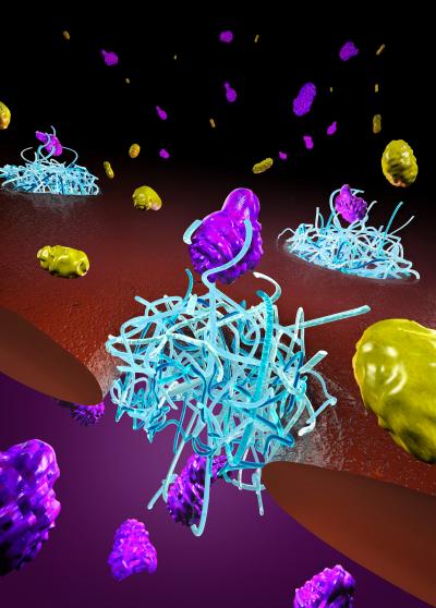 Biomimetic Nuclear Pore Complexes