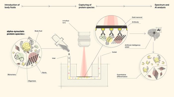 A Novel Biosensor for Detecting Neurogenerative Disease Protiens
