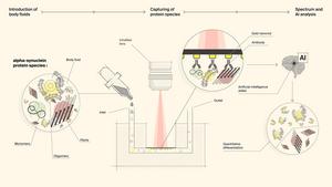 A Novel Biosensor for Detecting Neurogenerative Disease Protiens