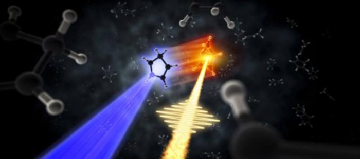 Carbon Rings Under Stress