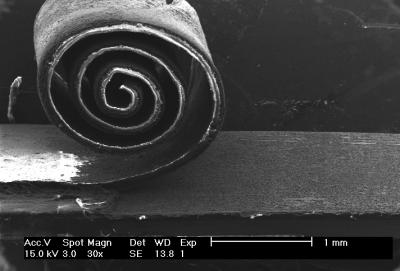 Nanowire Roll