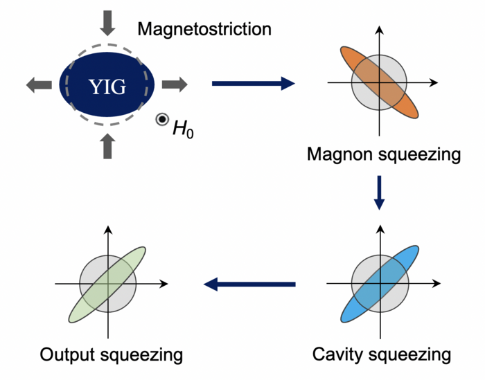 Sketch of the mechanism of generating squeezed microwave fields in cavity magnomechanics