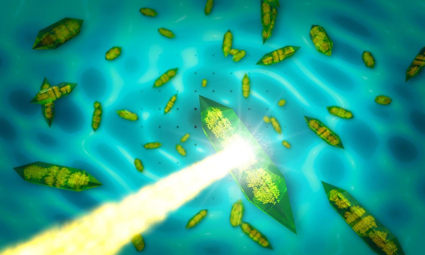 X-rays Passing Through a Crystal