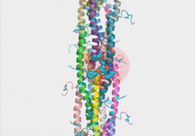 Anatomy of a Nanowire