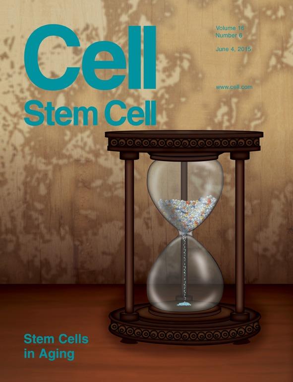 <I>Cell Stem Cell</I> Cover