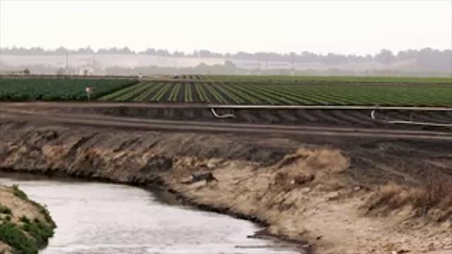 Strawberry Fields Forever -- with Some Help from Mathematicians!