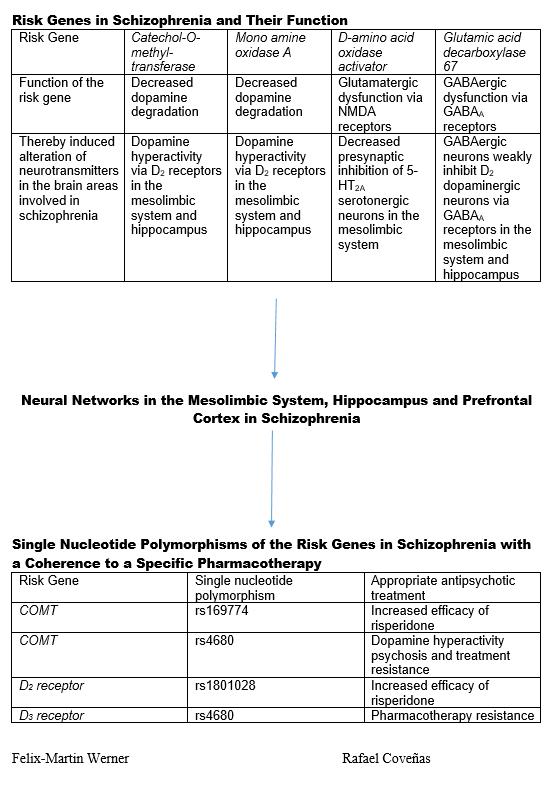 Risk Genes in Schizophrenia and Their Importance in Choosing the Appropriate Antipsychotic Treatment