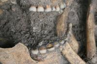 Close-up of Human Remains from Vlasac, Serbia