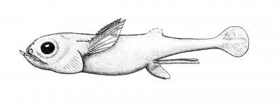 Reconstruction