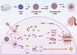 Tumor Microenvironment-Activated Nanostructure Enables Precise Multi-Modal Therapy