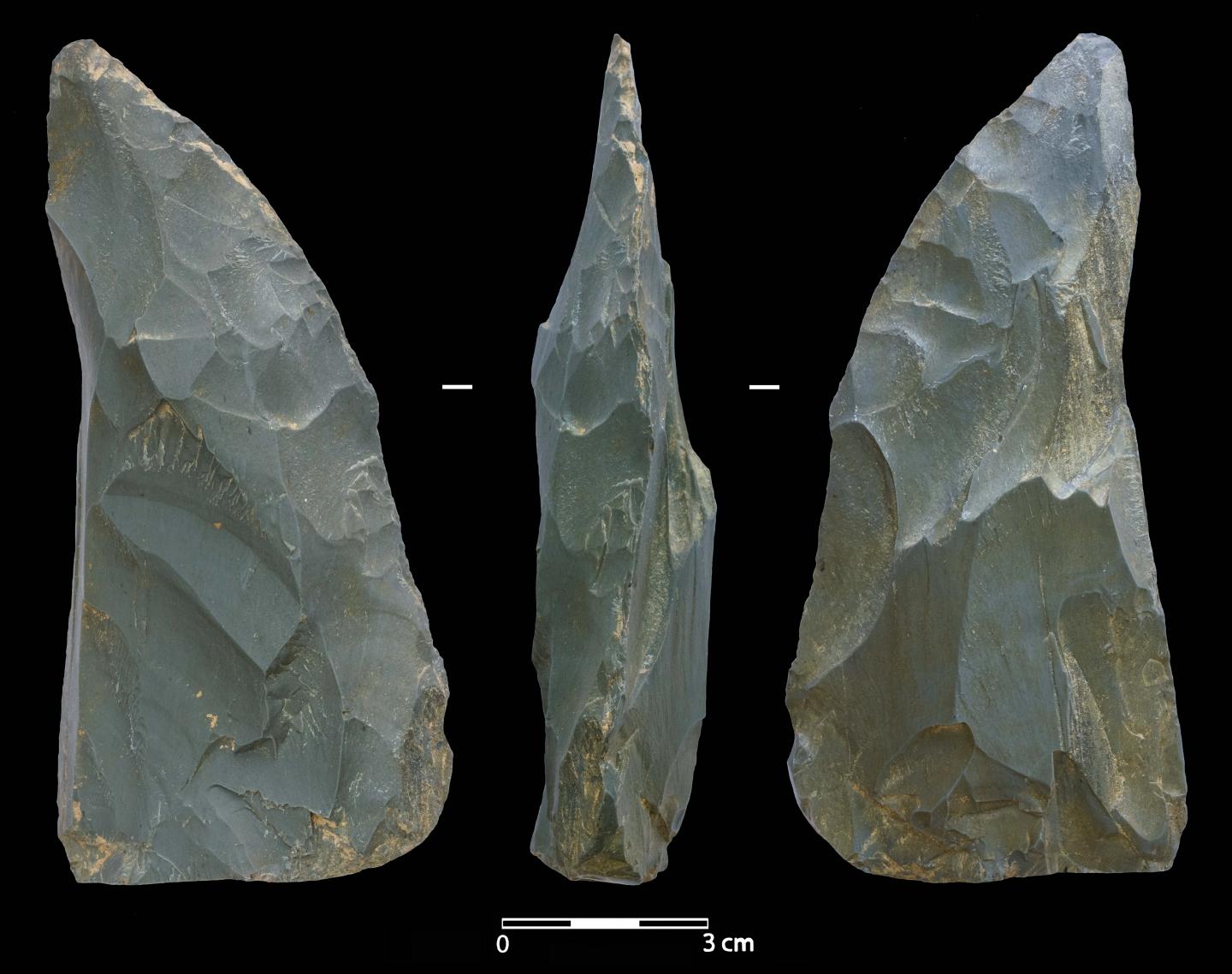 Stone tool used as a meat knife by Neanderthals at Chagyrskaya Cave around 54,000 years ago.