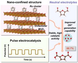 Biomass electrocatalytic conversion