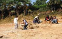 Group Finds Fossils