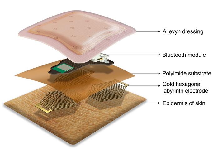 The RMIT ECG device