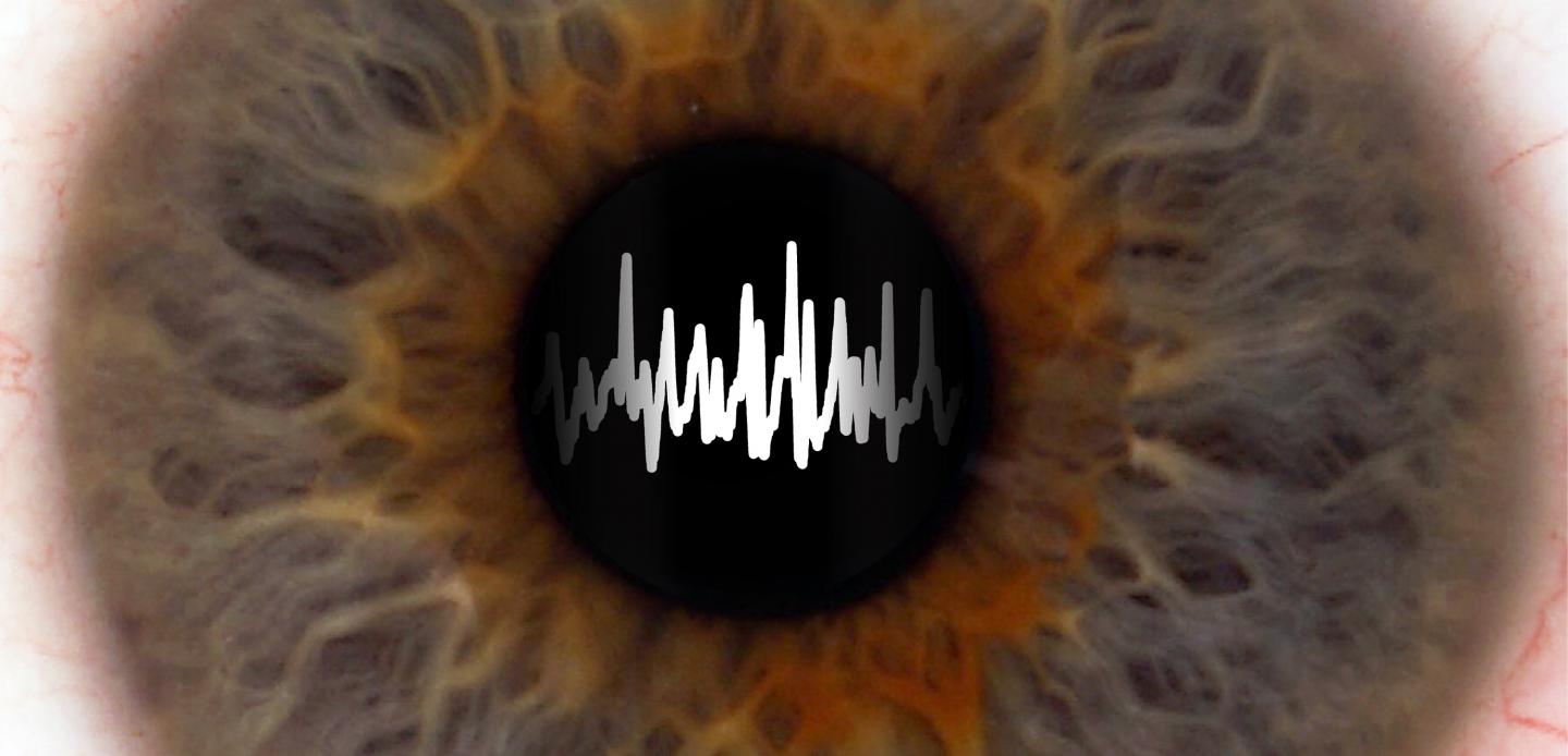 Pupil Size and Sleep