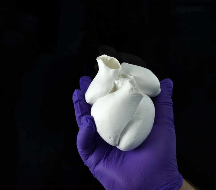 Full-scale four-chambered human heart model