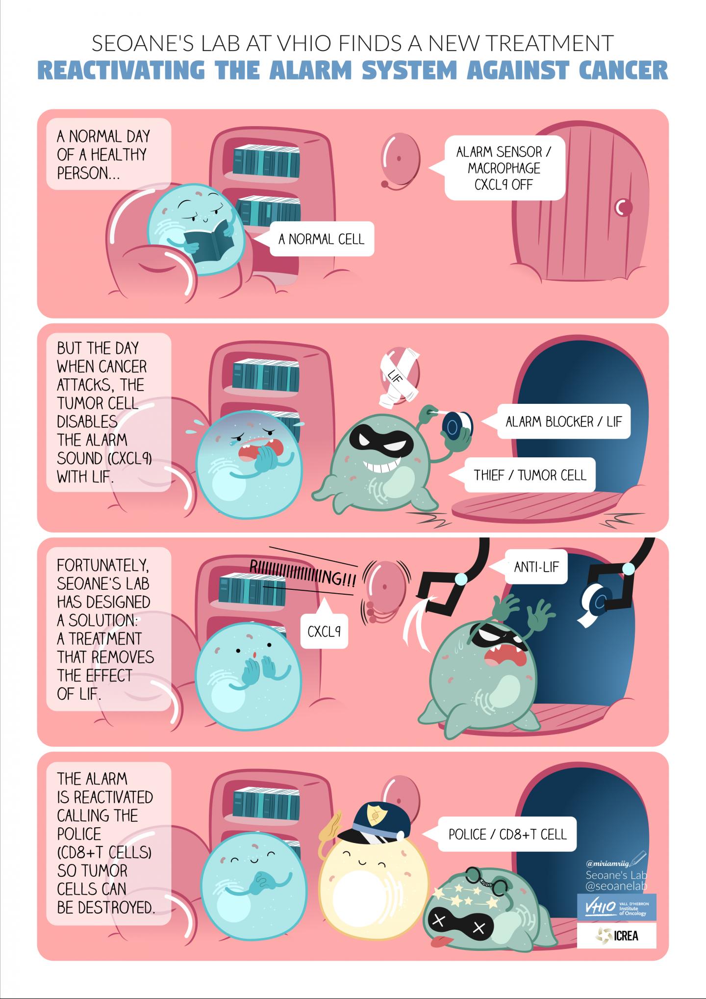 Novel Agent Reactivates an Immune Call by LIF Blockade