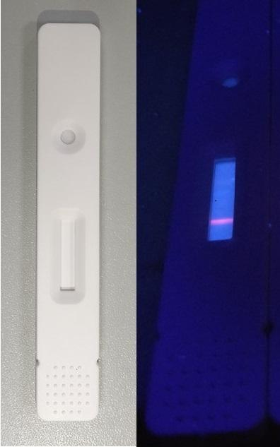 Sensitive New Test Detects Antibodies against SARS-CoV-2 in only 10 Minutes