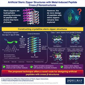 Artificial Steric Zipper Structures with Metal-Induced Peptide Cross-β Nanostructures