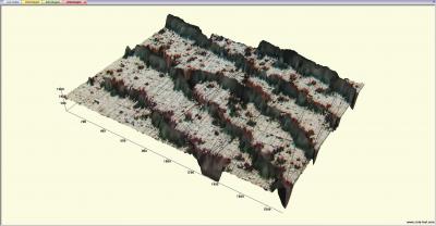 3-D Optical Microscope Image of Part of a Fingerprint