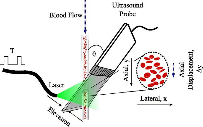 Experimental Setup for Blood Flow Velocity Measurements Using AR-PAF